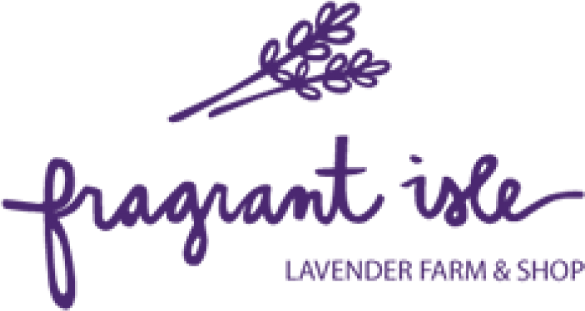 Fragrant Isle Lavender - Lavender (826x470)