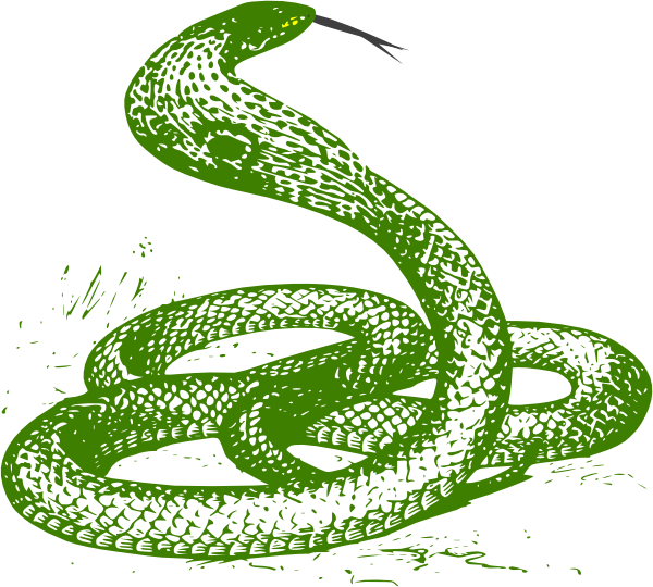 Viper Clipart Green Snake - Cobra Drawing (600x540)