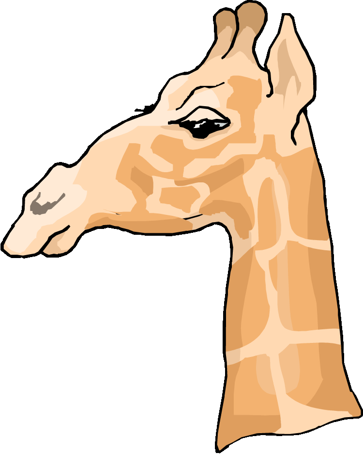 Side Profile Of A Giraffe (750x936)