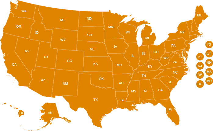 Dumpter Rentals - New York Gun Laws (800x500)