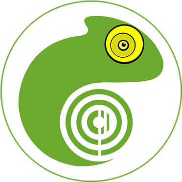 Islands Of Seychelles - Pumpkins The Aeroplane Flies High (394x394)