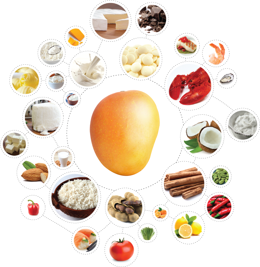 Food & Drinks Pairing Guide - Food Pairing Mango (981x967)