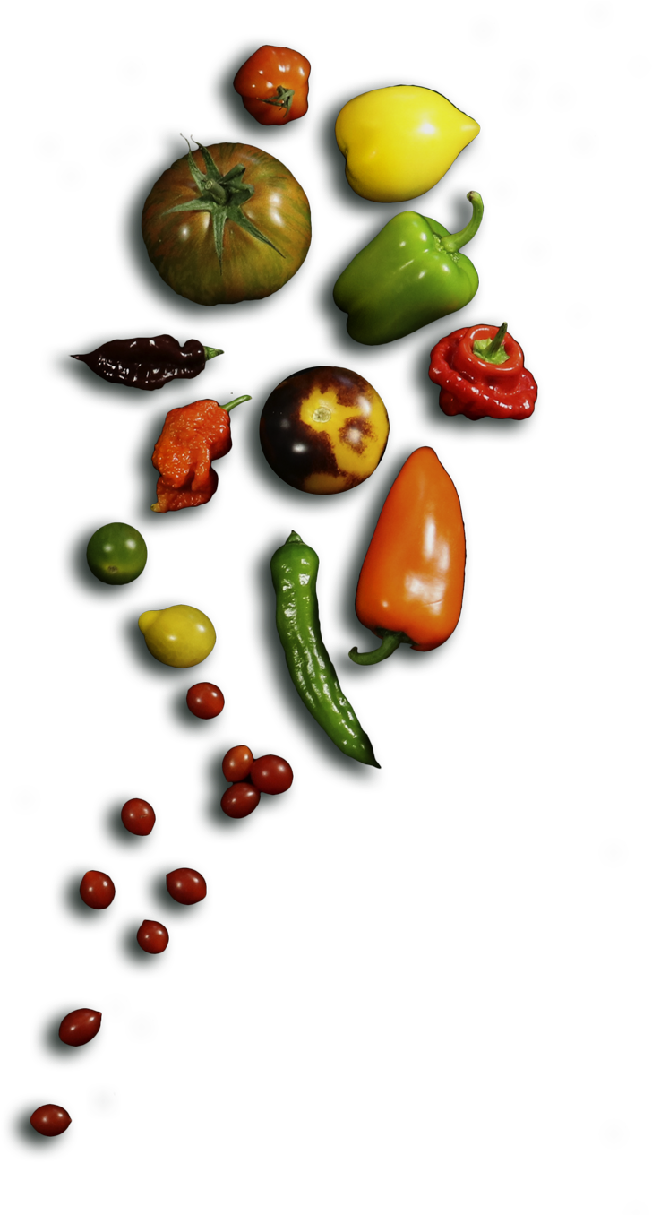 Eminent Food Assortiment - Assortment Strategies (750x1355)