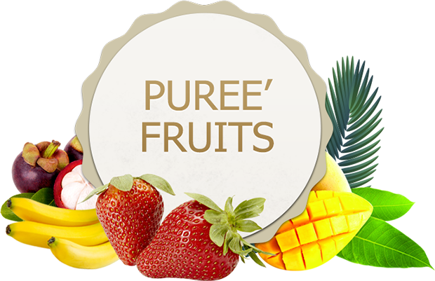 Puree' Fruits - Mangosteen Fruit Powder 55 Lbs (620x401)