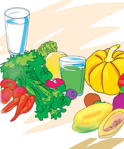 Nutrition Deals With The Access And Utilisation Of - Diet Of Malnutrition (400x480)