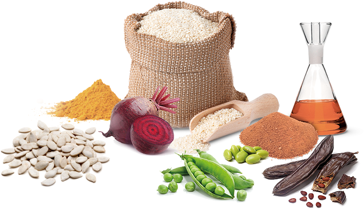 Our Only Secret Lies In Our Yearn To Fully Reveal The - Protein Chips (proteína Isolada Ervilha) Sabor Bbq (773x448)