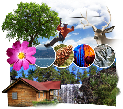 Imagen Relacionada - El Gorrión Rojo (505x427)