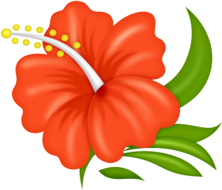 0 Aa65a 92e96139 Orig - Flores Tabasqueñas Png (350x350)