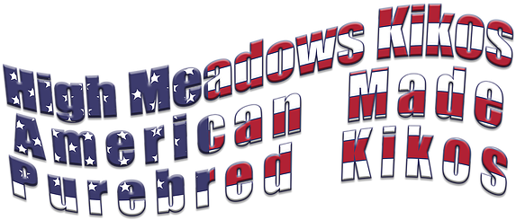 Welcome To High Meadows - Graphic Design (600x257)