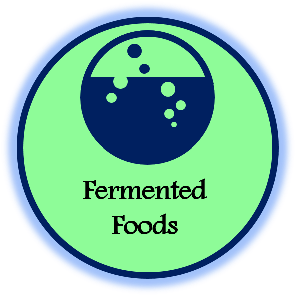 Food Fermentation Is A Very Ancient Popular Artisan - Circle (599x599)
