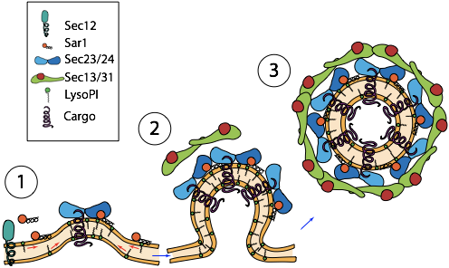 7 Jun - Tab (496x296)