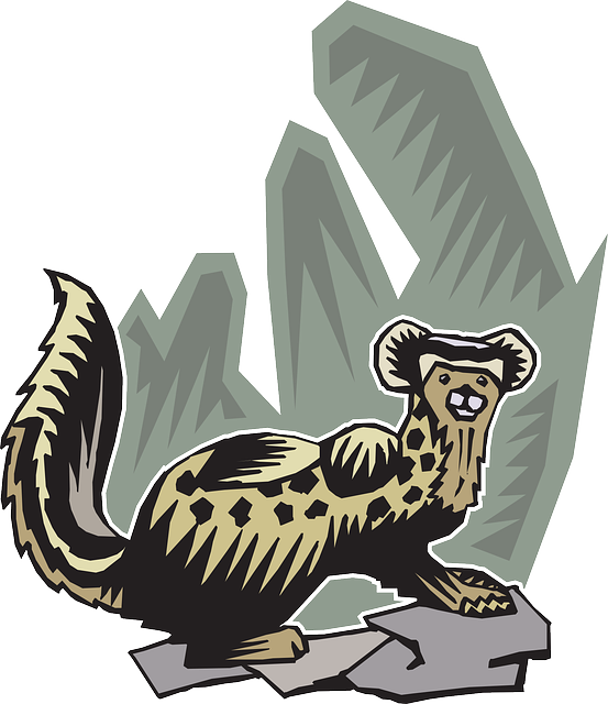 Ferret Stylized, Rocks, Background, Art, Animal, Tail, - Stylized Animal Array (553x640)
