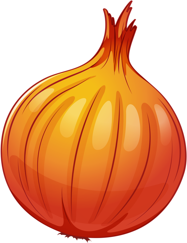 Download Png - Cebola Clipart (639x800)