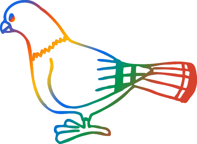 Google Pigeon - Outline Picture Of Pigeon (640x468)