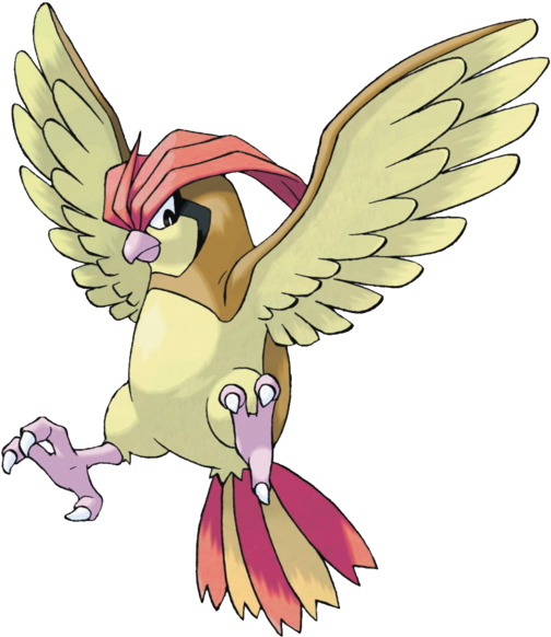 Pidgeotto - Pokemon Pidgeotto (1159x1159)