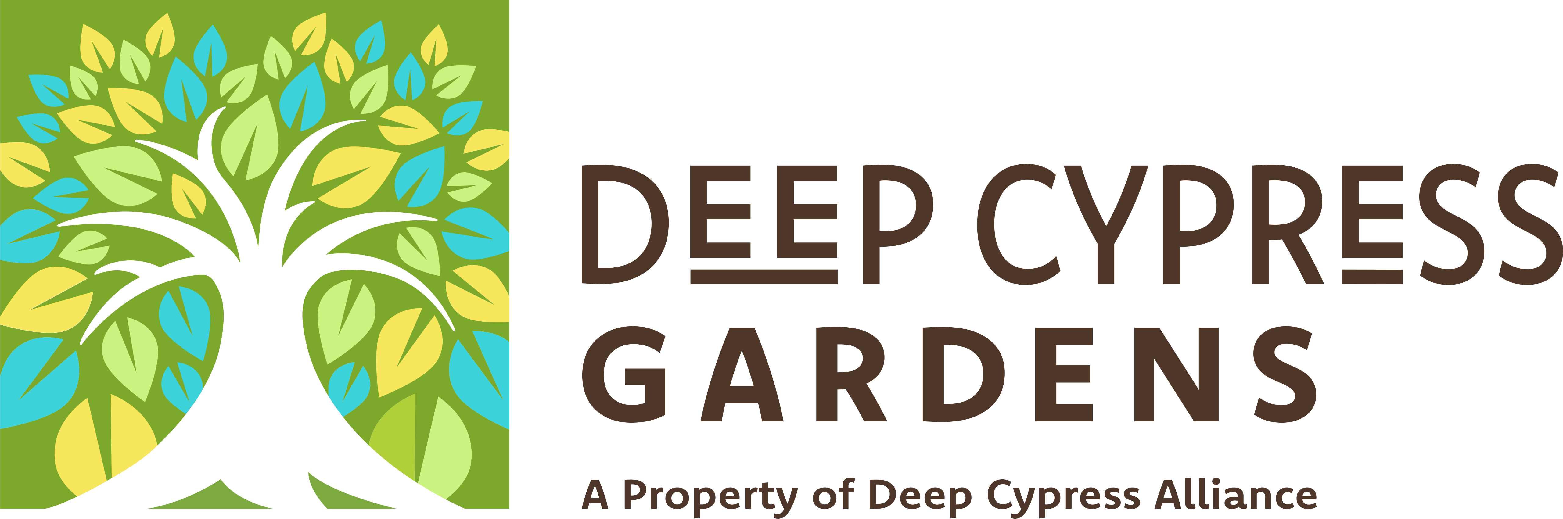 Deep Cypress Conservancy - Renting (5124x1702)