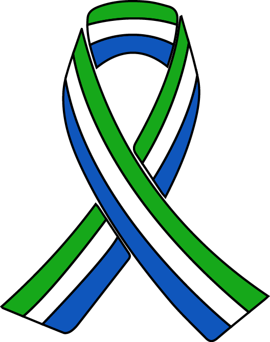 In 2010, The Association Focused On Helping Needy Children - Sierra Leone Flag Ribbon (528x670)