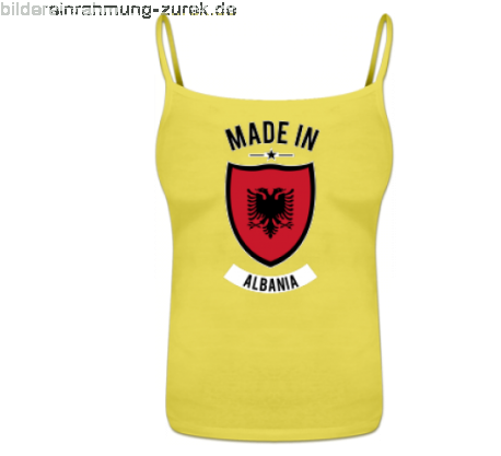 Albanian Flag (500x416)