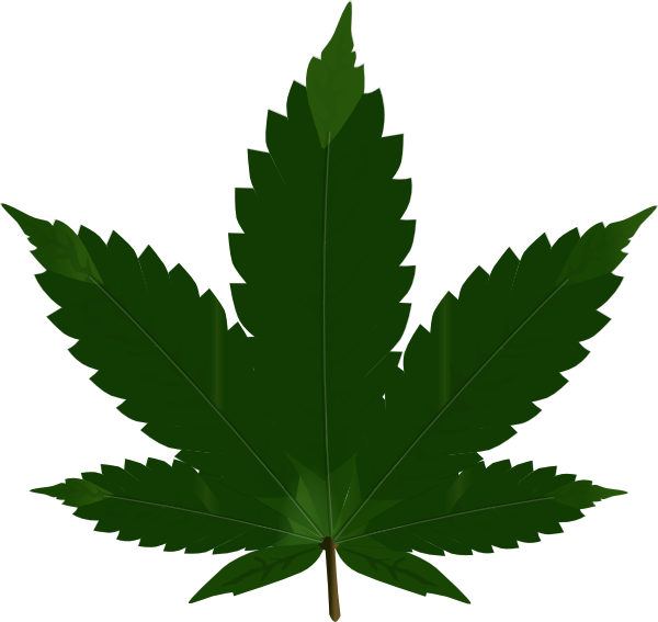 Leaf-svg Clip Art - Weed Png (600x567)
