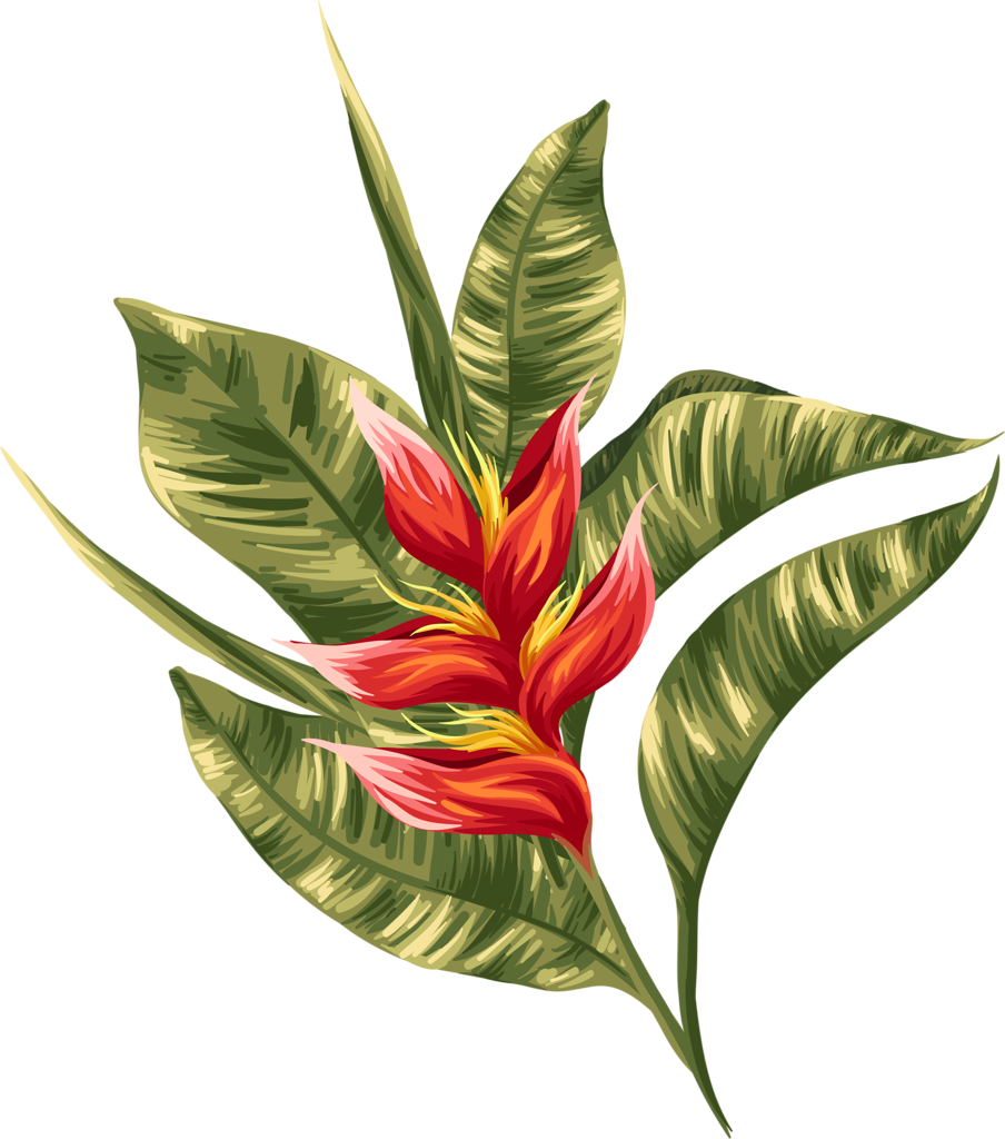Clip Arttropicalillustrations - Jungle Greenery With Red Flowers Skin (904x1024)