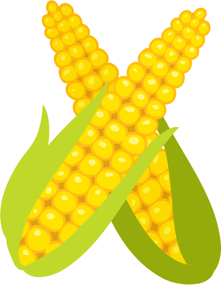 Corn On The Cob Vegetable Fruit Letter X - Fruit (1150x1150)