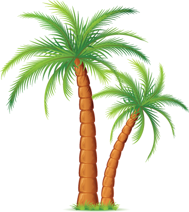 Wall Colour - Palmeras De Playa Png (374x419)