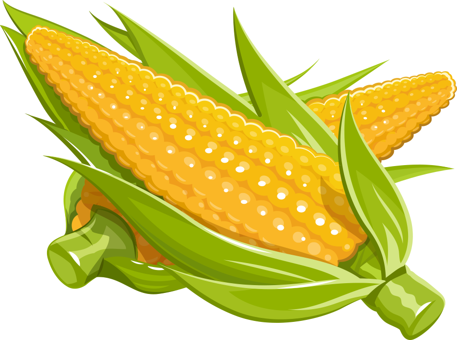 Maize Royalty-free Illustration - Corn Transparent Cartoon (934x694)