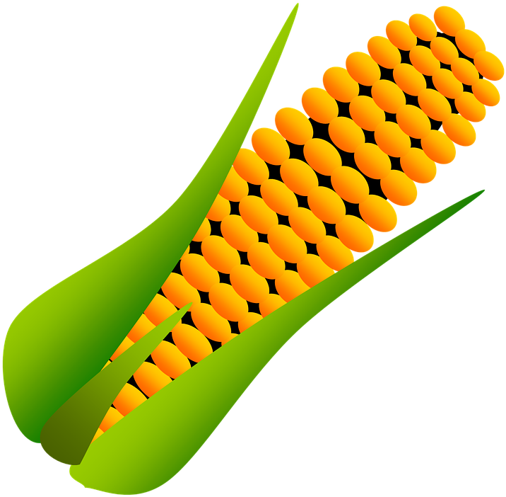 Collection Of Images Cartoon Images Of Corn - ข้าวโพด การ์ตูน Png (732x720)