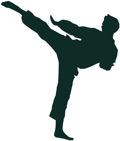Karate High Kick Training Transparent Png - Ninja Noir Hi Kik Png (512x512)