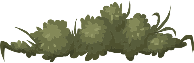 Bush Nature Green Leaves Outdoor Environme - Clip Art (680x340)