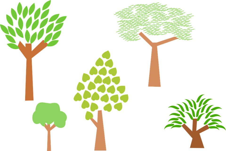 Trees Clipart 10, - Trees Clip Art (1280x852)