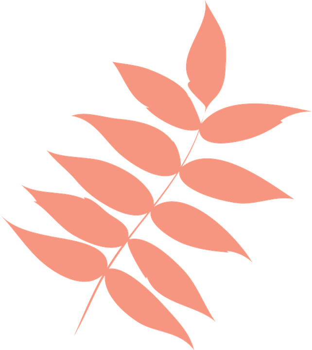 Free Vector Graphic - Autumn Leaves Png Icon (642x720)