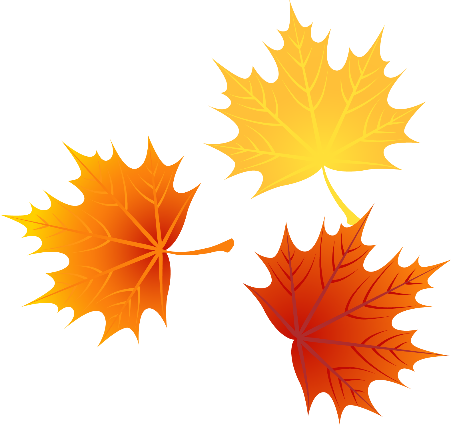 Leaf Autumn Leaves Euclidean Vector - Autumn Leaves Vector Png (1579x1487)