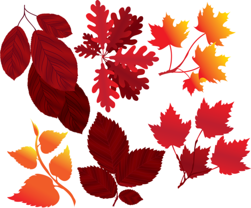 List31 - Leaf (500x415)