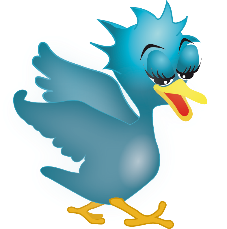 Free Vector Twitter Icons - Twitter Icon (800x800)