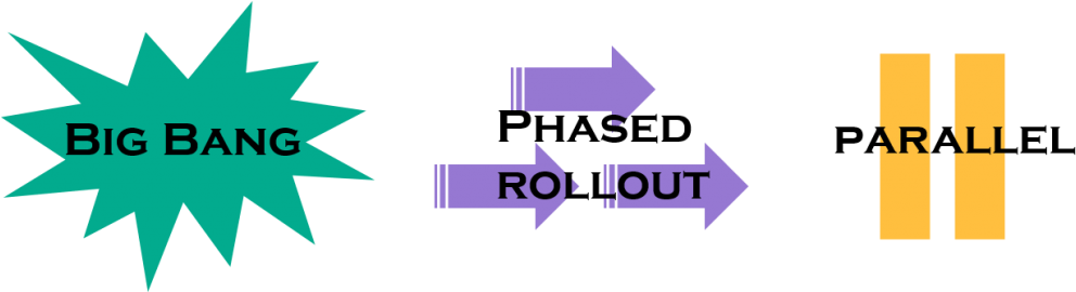 How To Choose Erp Implementation Phasing - Elspeth & Tago (black & White Edition): A True (1024x269)