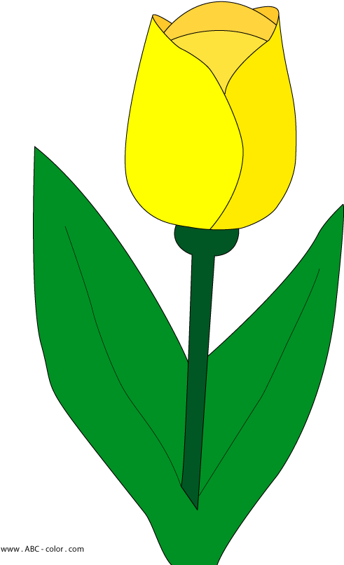 Download Bitmap Clipart Tulip - Emblem (567x822)