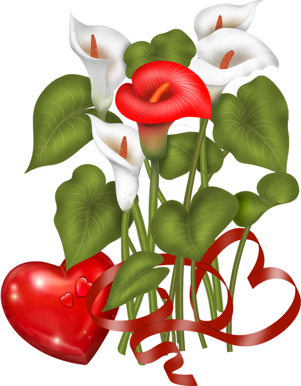 Valentine's Day Flowers - Giant White Arum Lily (598x767)