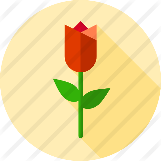 Tulip - Illustration (512x512)