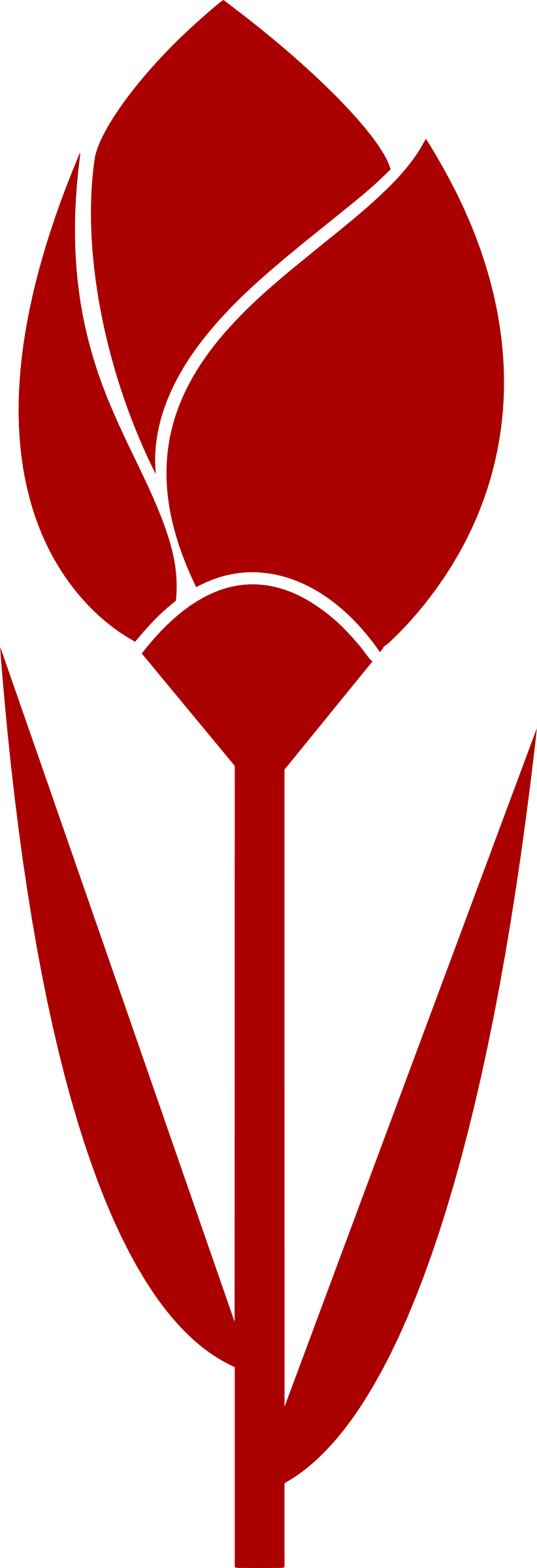 Tulip Vectorized - Tulip Vectorized (822x2400)