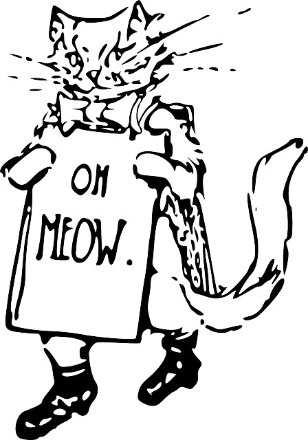 Cat, Sign, Drawing, Kitten, Holding, Walking, Whiskers - Cewek Dan Kucing Drawing (448x640)