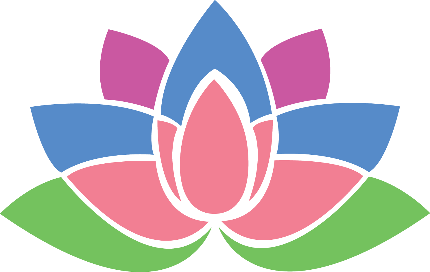 D'source - Tulipa Humilis (1487x944)