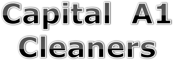 Toronto Dry Cleaning - Türk Bir Dev (742x264)