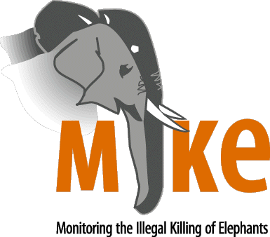 Ivory Hurst Publishers - Indian Elephant (385x338)