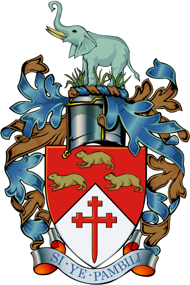 Bulawayo Coat Of Arms (409x600)
