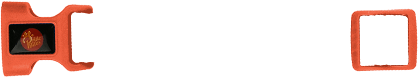 Personalized Dog Collar With Name Machine Washable - Parallel (880x500)