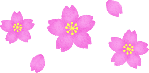 Cherry Blossoms - Prickly Rose (500x246)