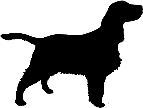 Guide To The Springer Spaniel - English Springer Spaniel Silhouette (600x512)