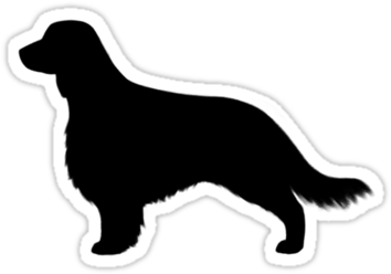 Welsh Springer Spaniel Dog Silhouette Long Tail - Silhouette Welsh Springer Spaniel (375x360)