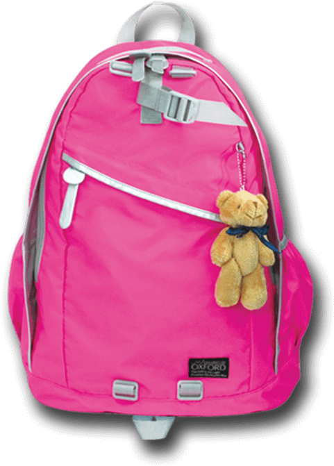 School Bag Vis-x047 Price - Bag (600x800)